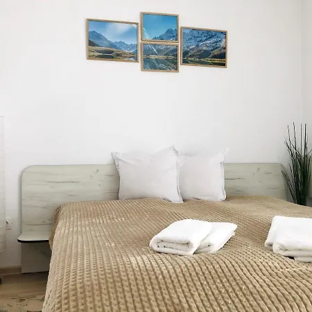 Temerso Studio-apartment Апартаменты Банско