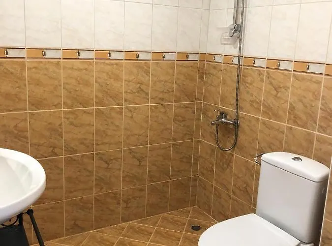 Temerso Studio-apartment Апартаменты Банско